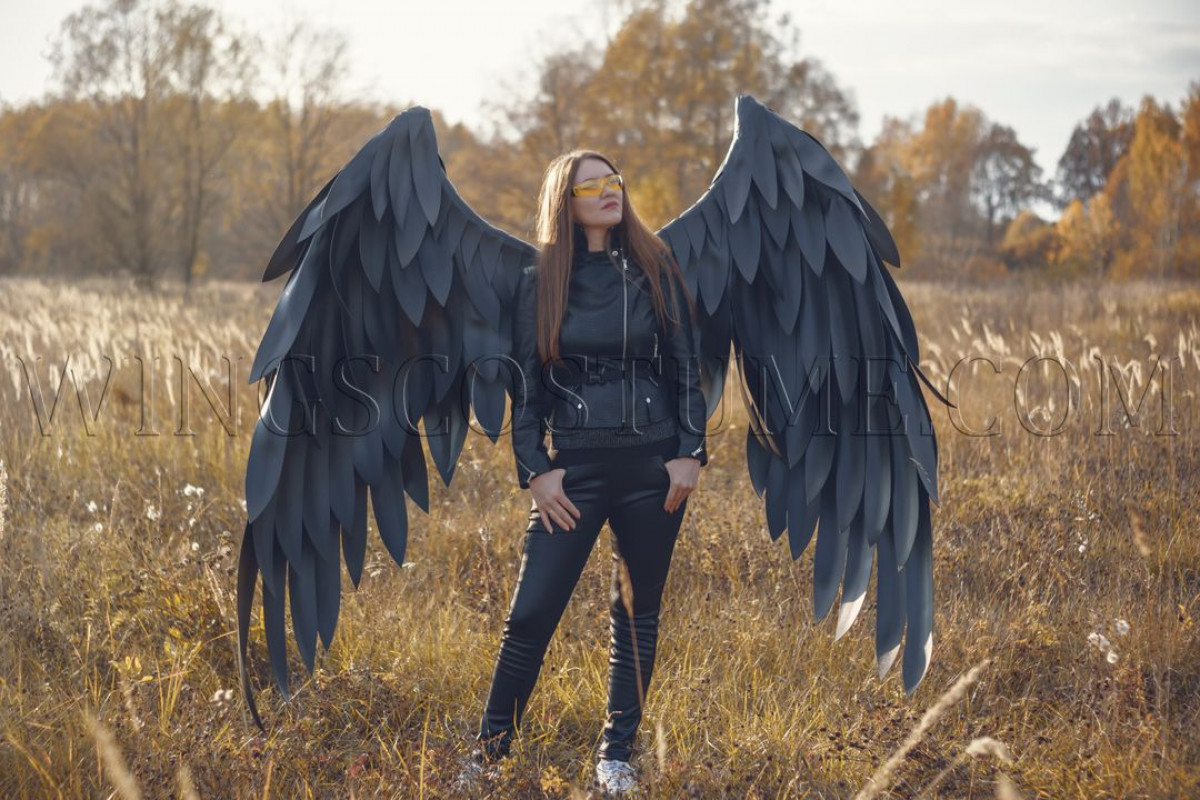 maximum ride wings costume