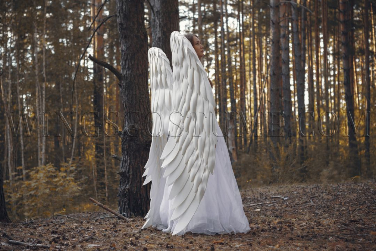 Buy realistic lage angel wings costume Royal person