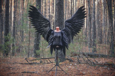 Large black angel wings costume "Dark lord"