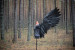 Black angel wings costume "Dark lord mini"