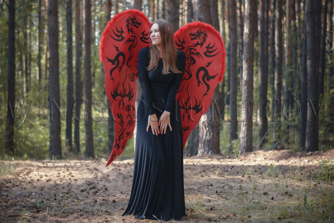 Large wings costume "Dragon"