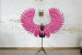 Large wings costume "Flamingos"