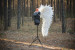 Large wings costume "Forest angel"