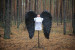 Large wings costume "Forest guard"