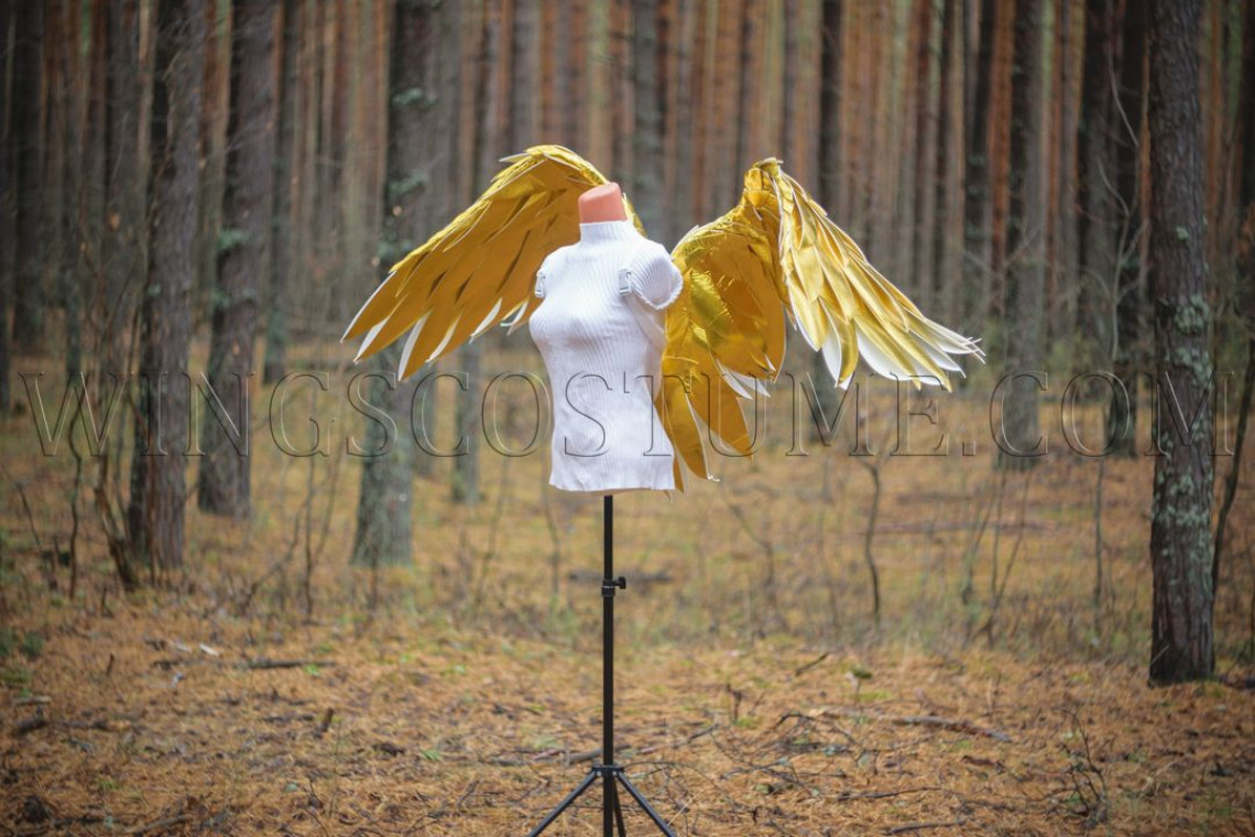 Angel wings costume "Golden rain mini"