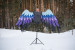 Large wings costume "Odin Sphere Gwendolyn"
