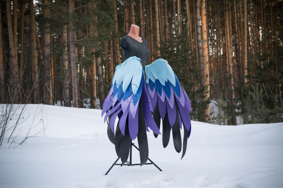 Large wings costume "Odin Sphere Gwendolyn"