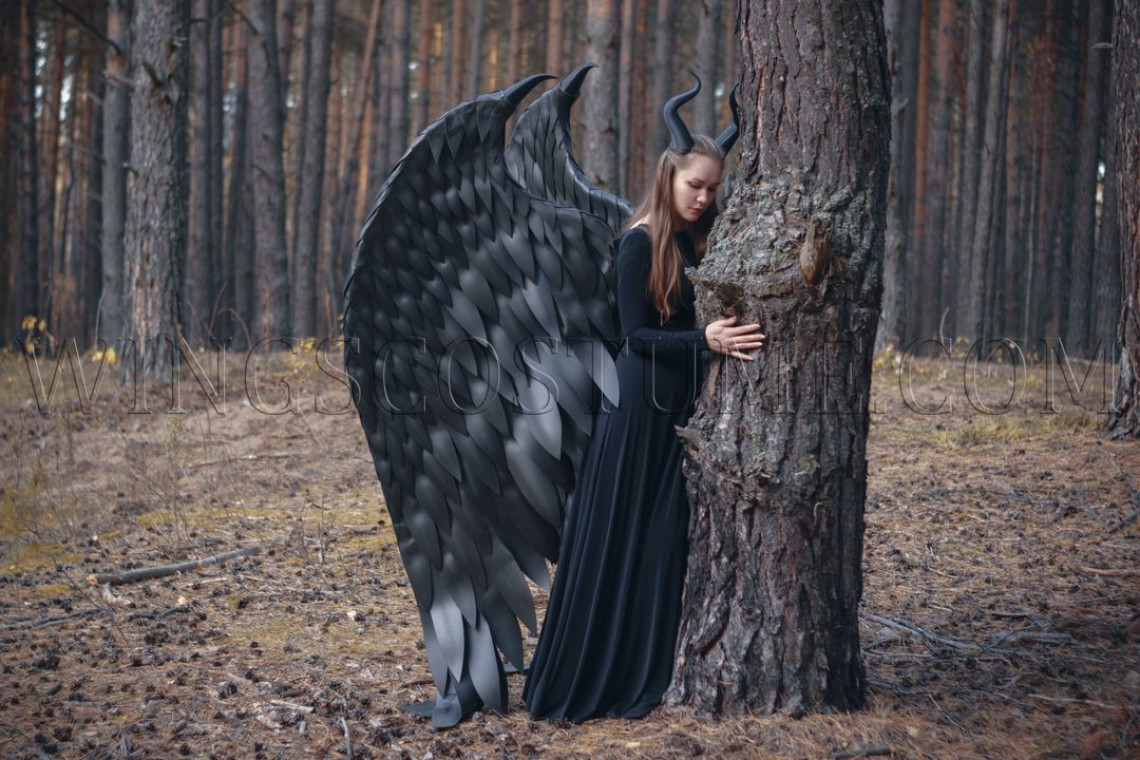 Maleficent’s wings