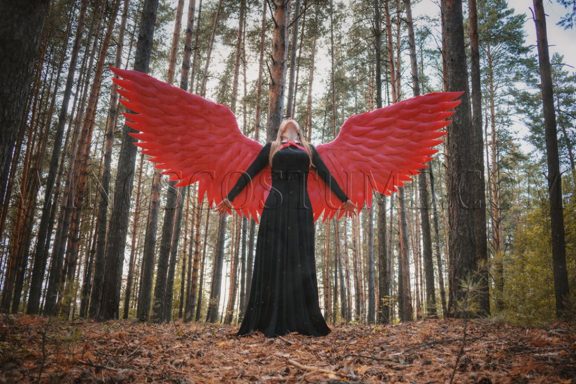 Large angel wings costume "Red phoenix"