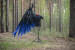 Cosplay wings costume "Sephiroth"