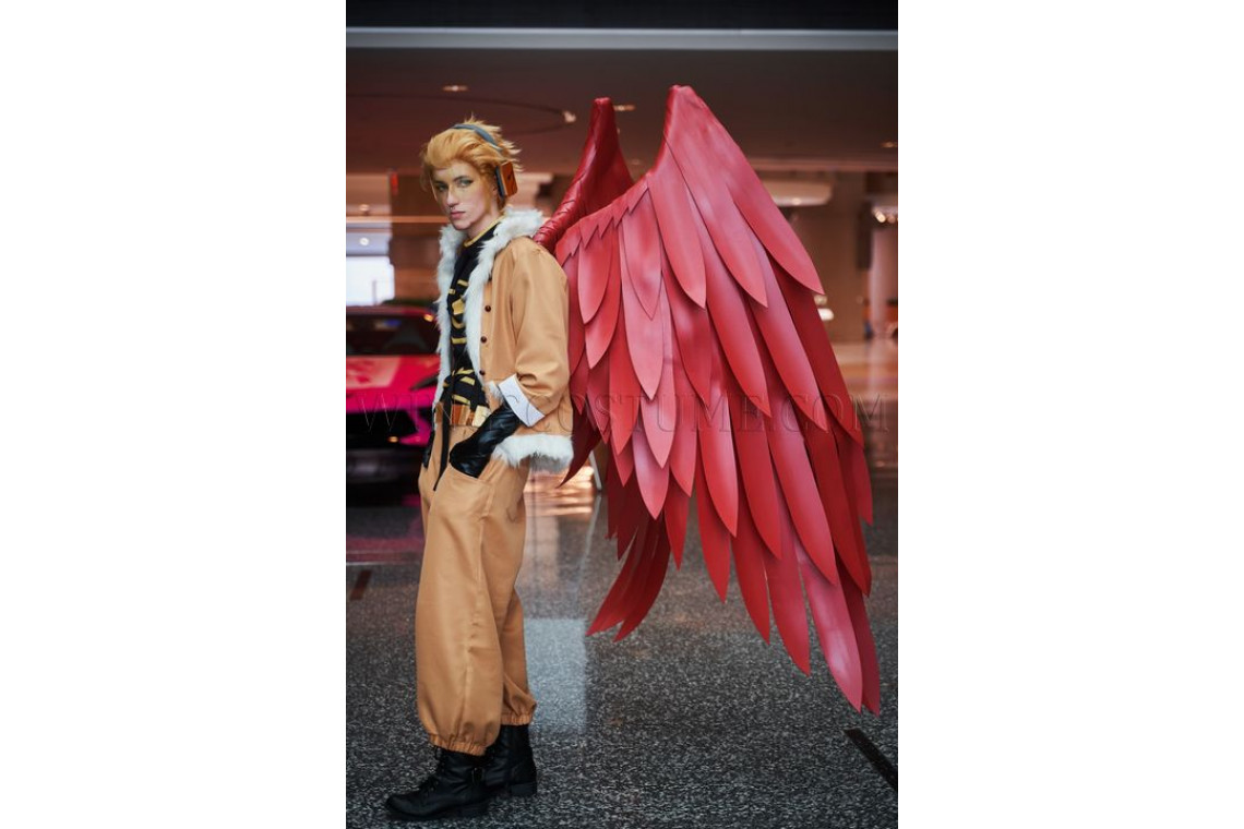 Cosplay wings costume "Takami Keigo Hawks"