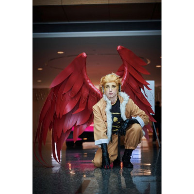 Cosplay wings costume "Takami Keigo Hawks"