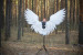 Angel wings costume "White angel mini"