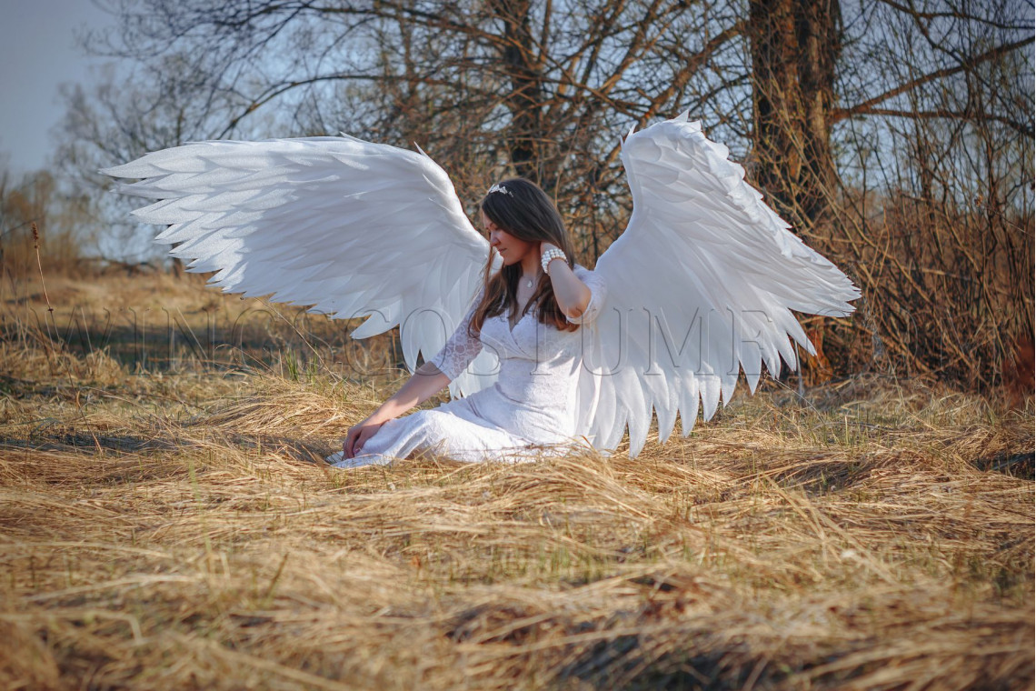 Large angel wings costume "White angel"