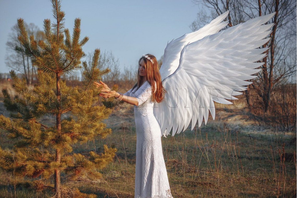 beautiful angel wings costume